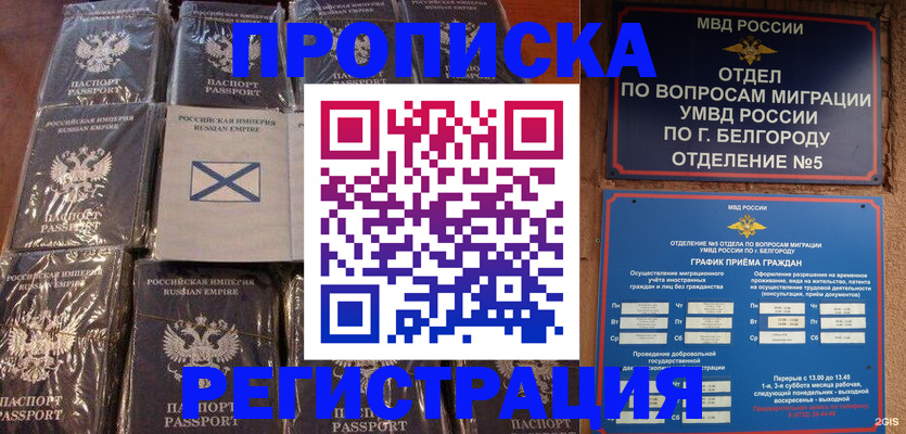прописка гарантия в Стародубе